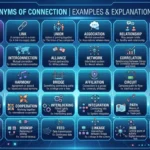 Synonyms of Connection